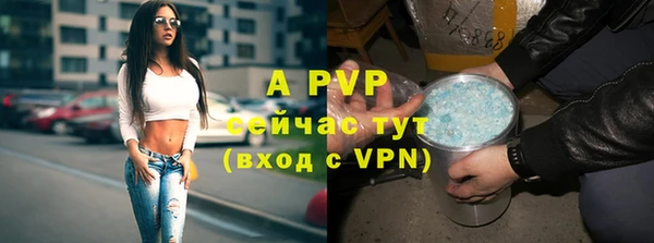 амф Гусиноозёрск