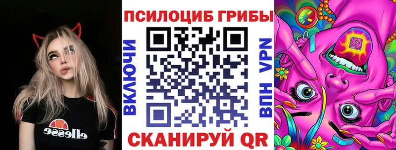 Псилоцибиновые грибы мицелий blacksprut ССЫЛКА Дятьково